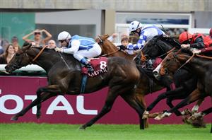 goldikova