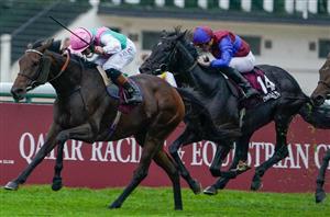 "We will speak with the owners and decide" - Could Arc heroine Bluestocking return in 2025?