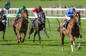 "He can stretch out to seven furlongs" - Shadow Of Light supplemented for the Dewhurst