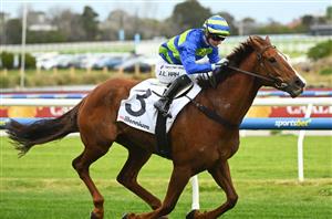 Toorak Handicap Tips - Can Another Wil secure Group 1 or is there a lightweight that can cause an upset?