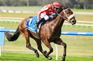 Toorak Handicap Tips - Runner-by-Runner Guide for the Caulfield Group 1