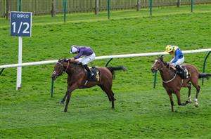 2024 Fillies' Mile Tips - 66/1 outsider worth a second look