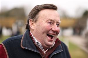 €1.4 million purchase Palladium handed Triumph Hurdle entry by Henderson