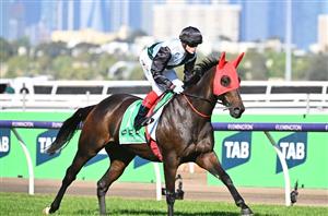 Big Bets for 12.10.2024