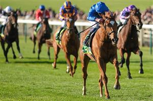 2024 Fillies' Mile Result and Replay - Desert Flower 4/1 for next year's 1000 Guineas after Newmarket romp