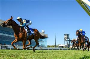 Big Bets Results - Oct 12