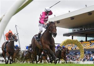 Rosehill Blackbookers