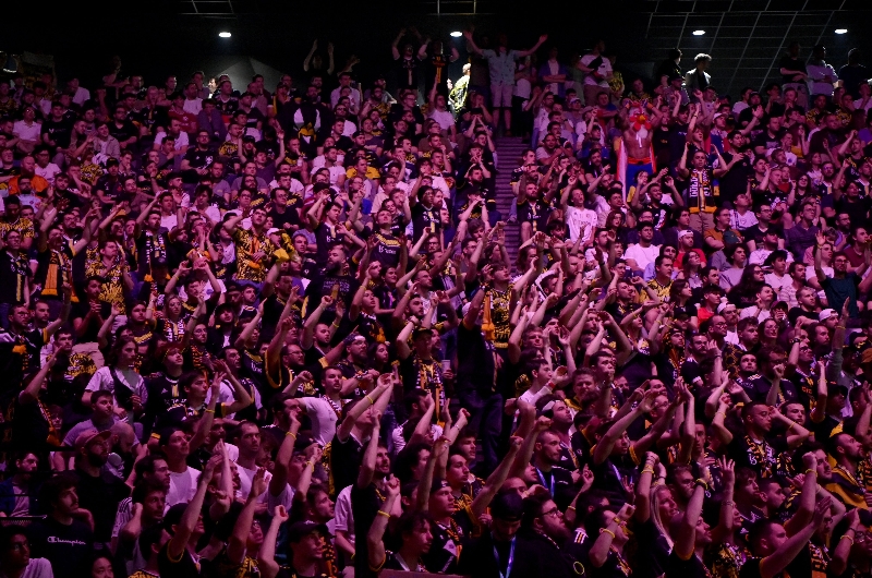 Esports fans
