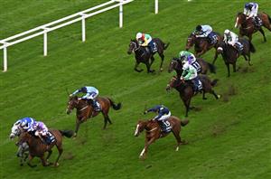 2024 Champions Sprint Odds - Kinross leads Montassib in Champions Day betting