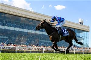 King Charles III Stakes Tips - Runner-by-Runner Guide for the Randwick Group 1