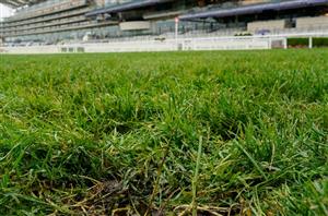 Three Champions Day races switched to the Inner Flat Course at Ascot again