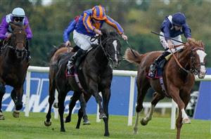 2024 Champion Stakes Tips - Value away from the big two on Champions Day?