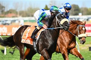 The Everest Tips - Runner-by-Runner Guide for the Randwick showpiece