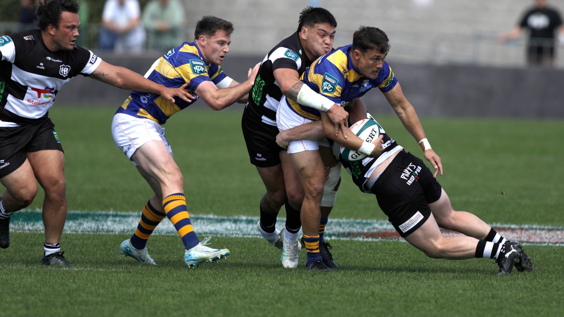 Bay of Plenty vs Canterbury Tips Bay of Plenty backed to win NPC semi