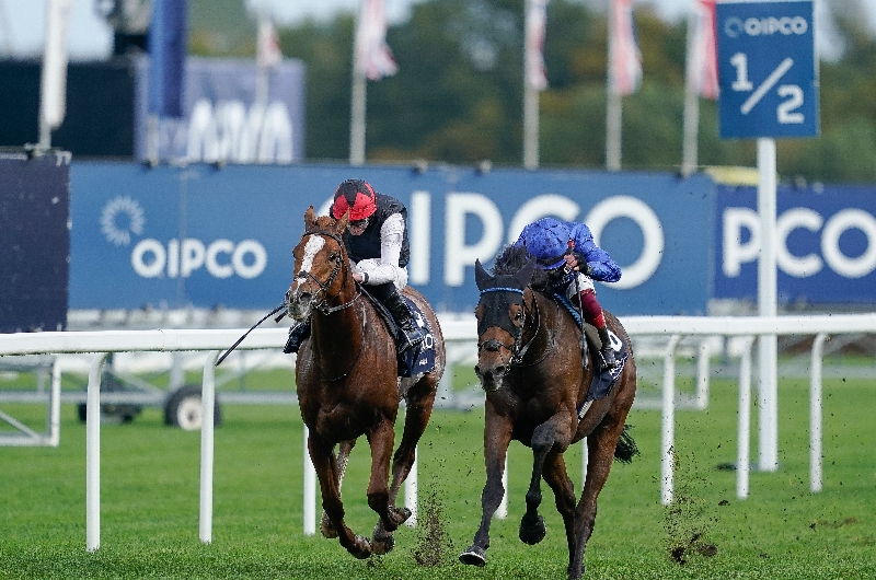 kyprios ascot kyprios ascot