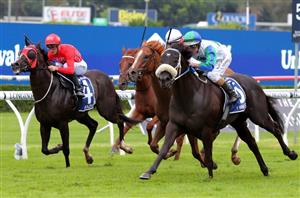 Big Bets for 19.10.2024
