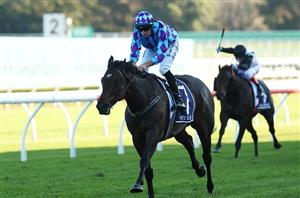 King Charles III Stakes Tips - Pride Of Jenni to get the chasing in the $5 million Group 1