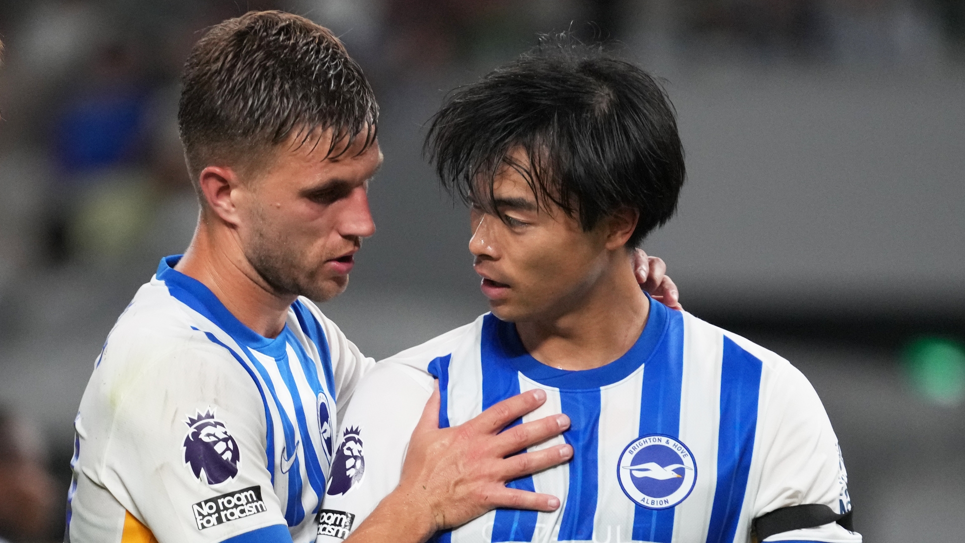 Newcastle vs Brighton Predictions & Tips - Goals Market in Play in the ...