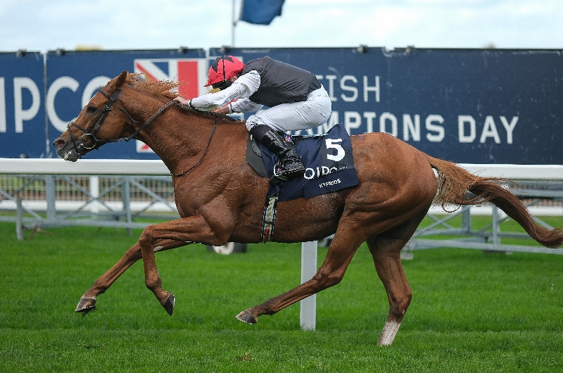 ascot