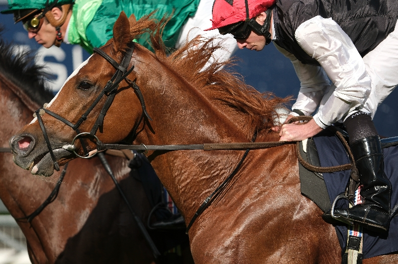 ascot