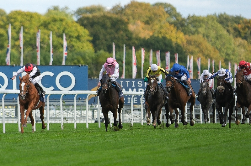 ascot