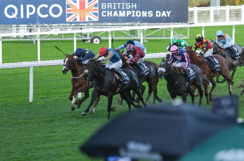 ascot