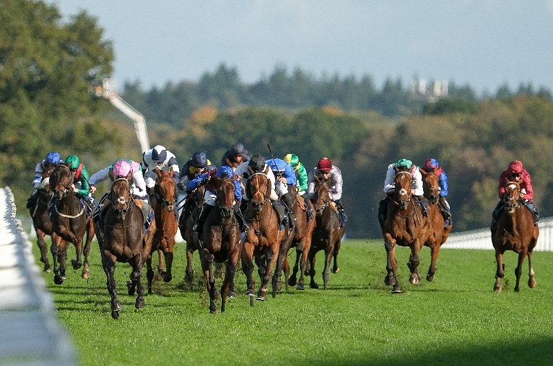 ascot