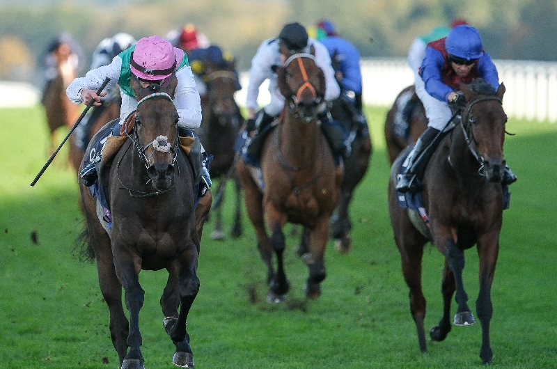 ascot
