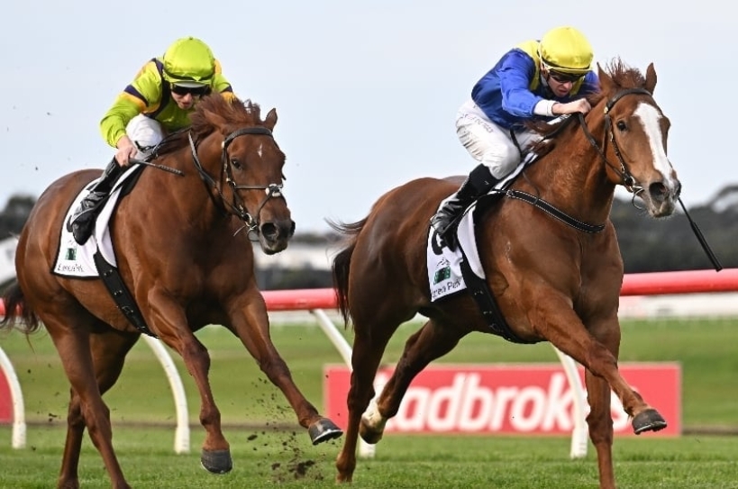 Horsham Racing Tips for October 20 Hayes camp have a strong hand on