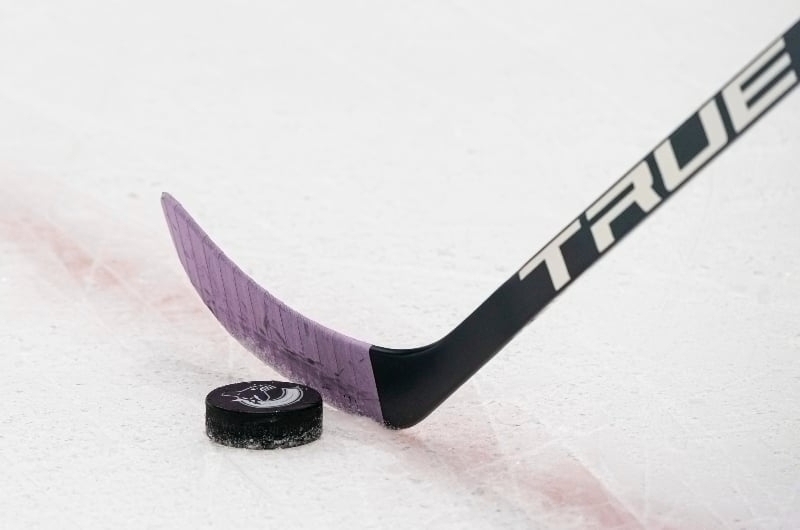 Tampa Bay Lighting at Toronto Maple Leafs Live Stream & Tips