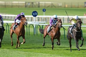 2024 Futurity Trophy Odds - Wimbledon Hawkeye heads wide-open Group One betting