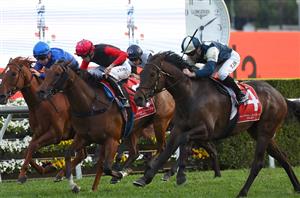 Spring Champion Stakes Tips - Swiftfalcon to appreciate the step up to the 2000m in the Spring Champion Stakes