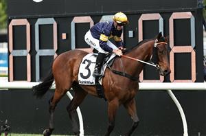 2024 Spring Champion Stakes Tips - Swiftfalcon the one to beat at Randwick