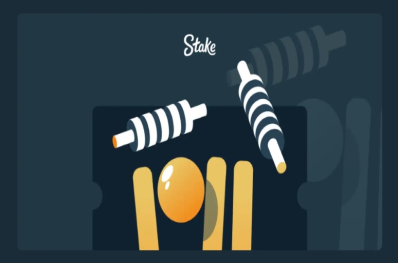Stake.com