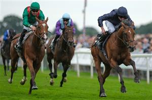 2024 Breeders' Cup Classic Tips - Have the stars aligned for City Of Troy?