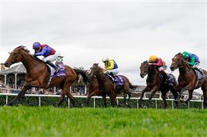2024 Futurity Trophy Tips - Harrington's raider can claim final Group One