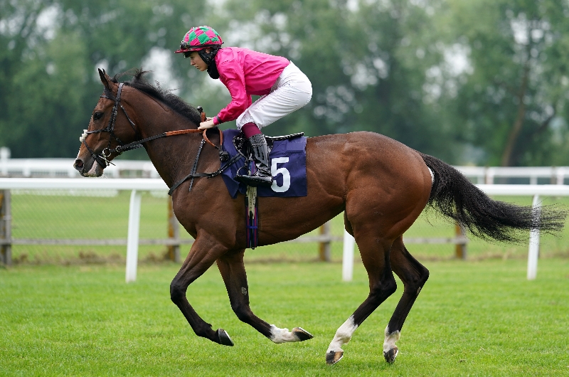 good earth handicap good earth handicap