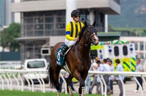 Cox Plate Tips - Runner-by-Runner Guide for the Spring Carnival showpiece