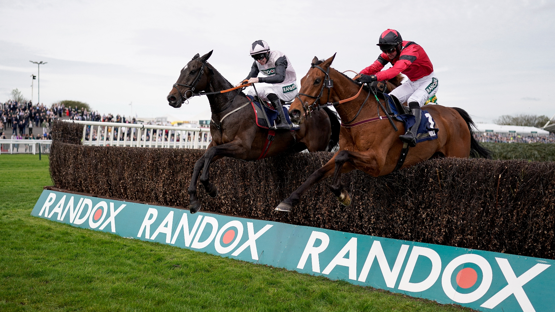 Old Roan Chase 2026 Live Stream