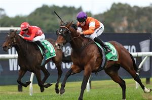 Vic Derby tips