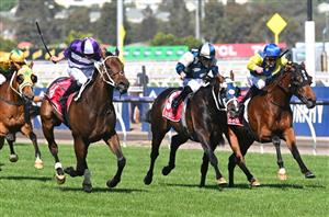 Victoria Derby Tips - Nick Ryan’s emerging stayer holds the aces in the Victoria Derby