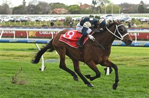 2024 Melbourne Cup Odds - Buckaroo and Vauban top the betting market for Flemington