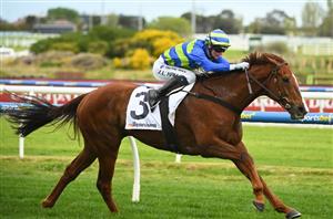 Get $9 for Feroce & Another Wil to both Win