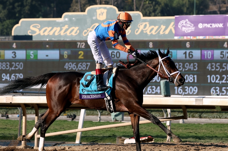 fierceness breeders cup