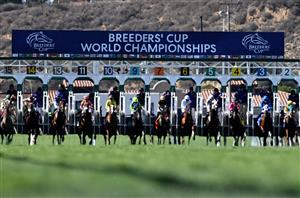 Breeders' Cup 2024 Tips - Peter Fornatale's Day 2 Selections