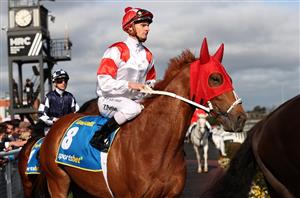 Melbourne Cup Runners - Assessing the chances of all 24 contenders