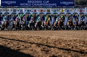 del mar