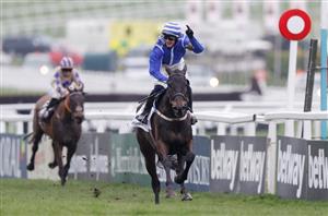 Champion Chase 2025 Tips - Pre-season guide and preview