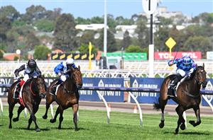 Champions Mile Tips - Can one of the beaten brigade from the Cox Plate rebound in the Champions Mile? 