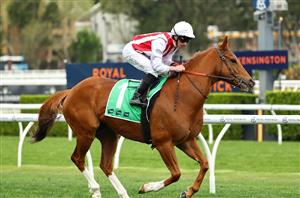 Champions Sprint 2024 Betting Tips - Can Giga Kick go one better?